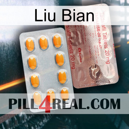 Liu Bian new13